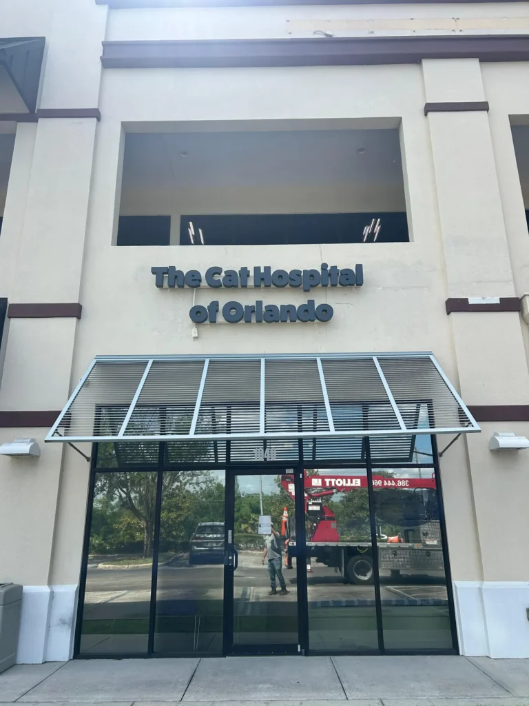 Cat Hospital of Orlando channel letter sign in Casselberry, FL